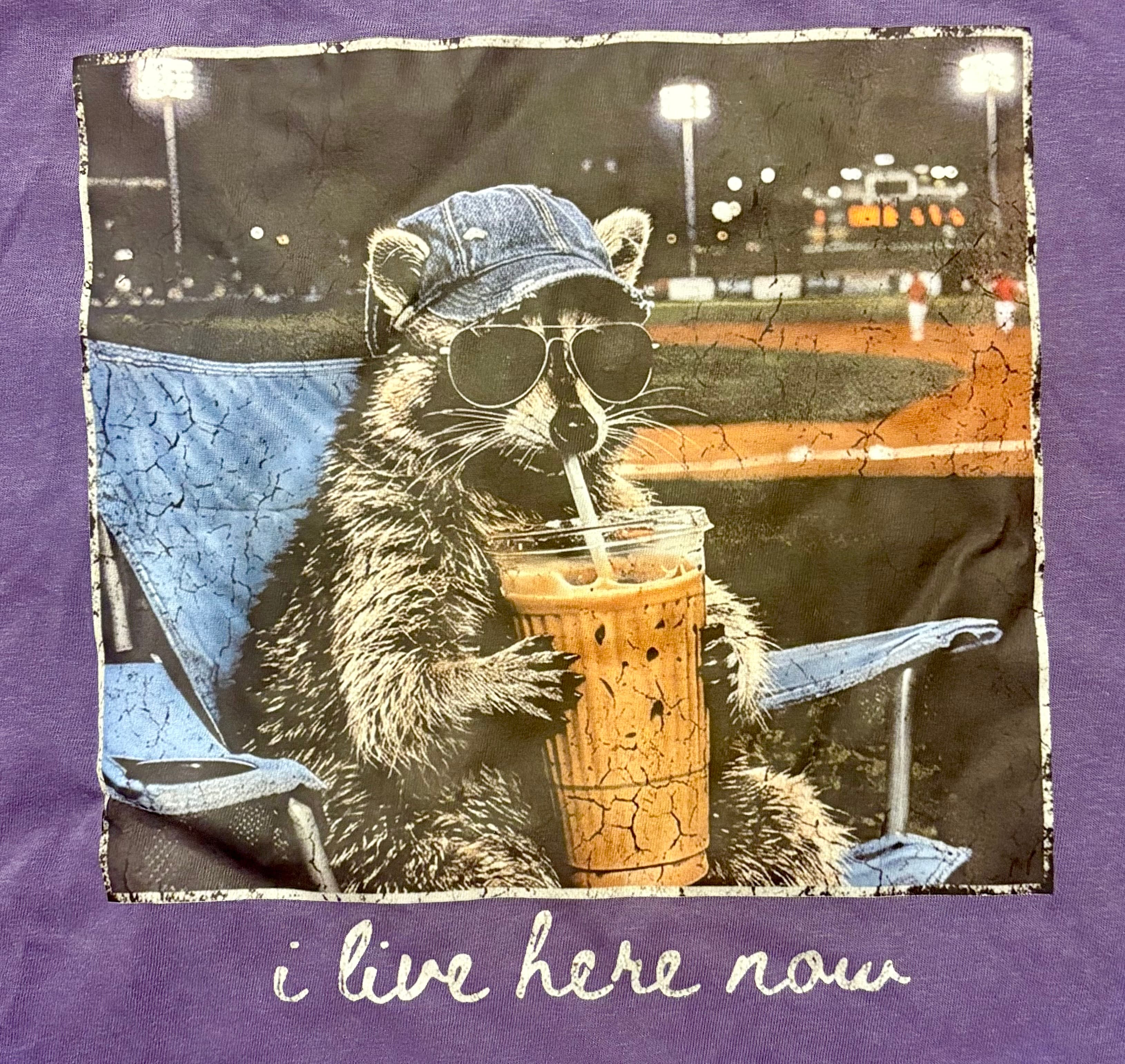 If anyone is interested in having one let me know. I have a friend that makes these.  You can put it on whatever color you want.  The “Trash Panda” can be drinking soda or iced coffee. 
Tshirt = $20